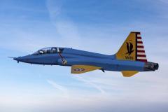 T-38-Vintage-paint